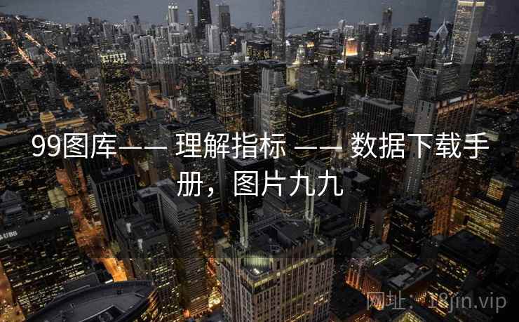99图库—— 理解指标 —— 数据下载手册，图片九九
